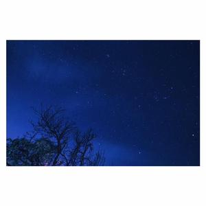 欧美日韩亚洲国产另类
