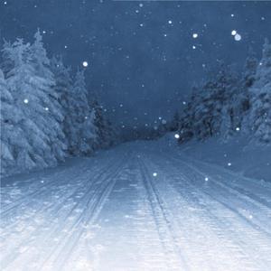 欧美日韩亚洲国产另类
